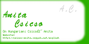 anita csicso business card